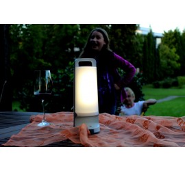 DRAGONFLY SOLAR LED MULTI PORTÁTIL LUZ GRIS PLATEADO